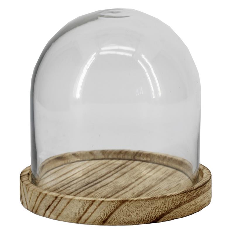 Cloche sur plateau bois d10 h10cm