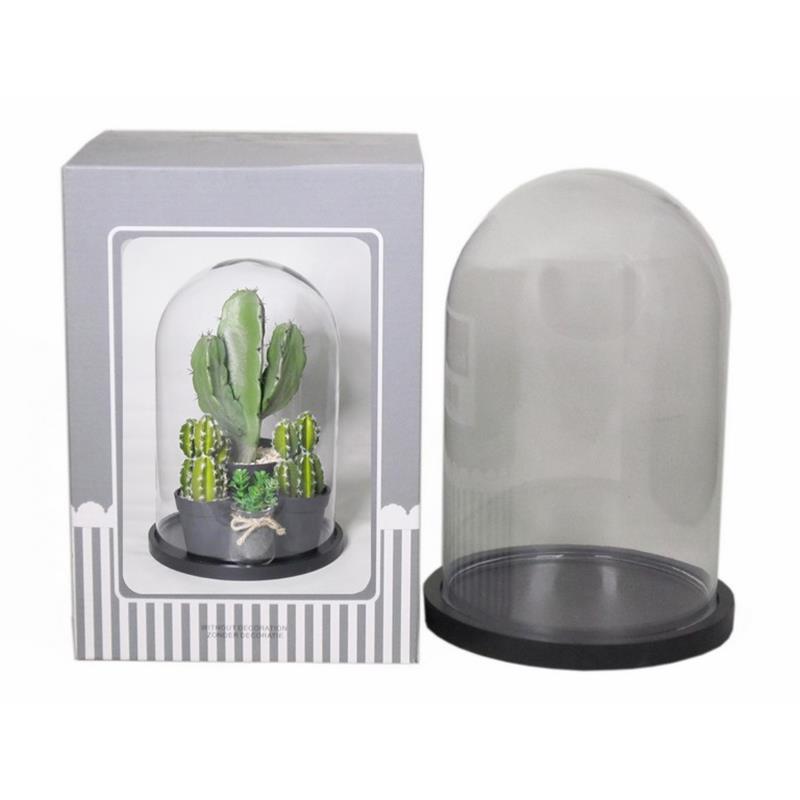 Cloche sur plateau noir d10/12 h15/16cm (en carton display)