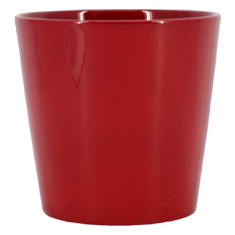 Macetero Dallas d13 a13cm bordeaux es/12