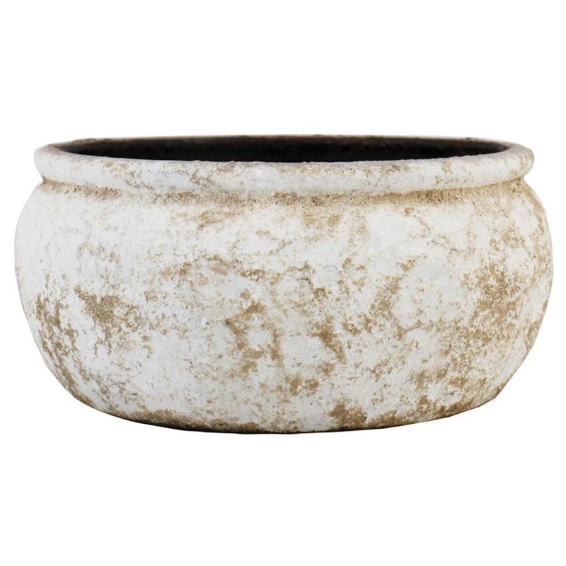 Coupe Vales d25/29 h14cm blanc antique