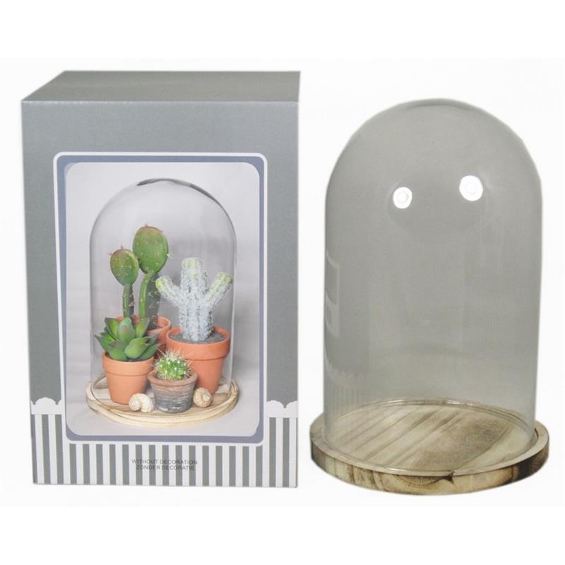 Cúpula en bandeja madera d15/17.5 a24/25cm en caja ilustrada